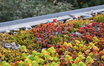 the cost of Tanterton green roof installation