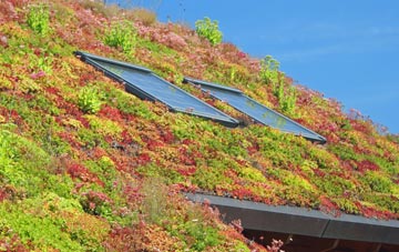 Tanterton living roof systems
